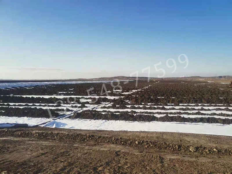 長絲復合膜-遼寧營口鹽堿地改良40萬㎡