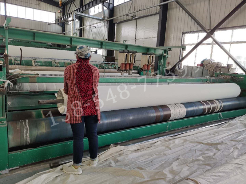 短絲復(fù)合土工膜生產(chǎn)