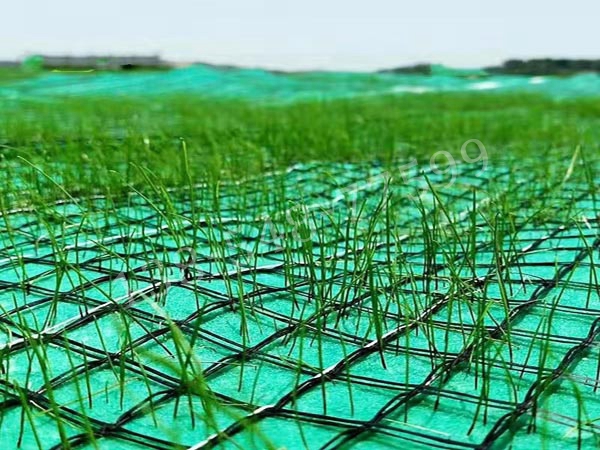 抗沖生態(tài)保護毯