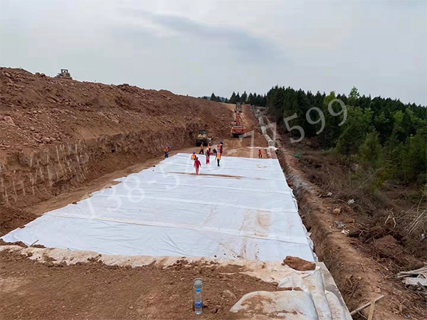 有紡?fù)凉げ?></a></dt>
                <dd><a href=