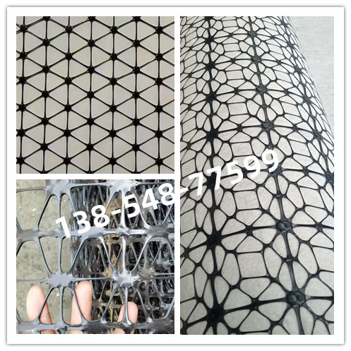 多向塑料土工格柵