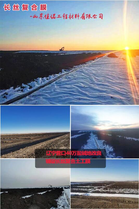 長絲復合膜-遼寧營口鹽堿地改良40萬㎡(圖1) 長絲復合膜-遼寧營口鹽堿地改良40萬㎡(圖1)